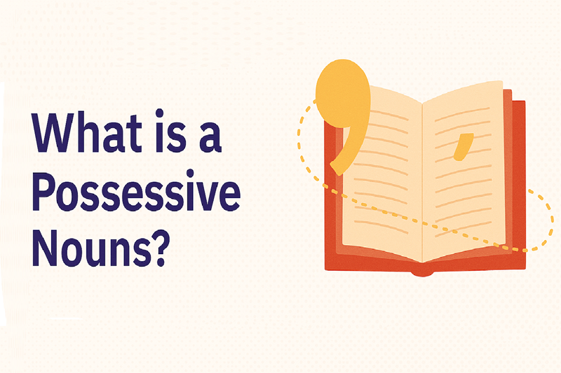 What is a Possessive Noun?